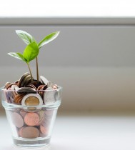 Pflanze ESG money / unsplash.com
