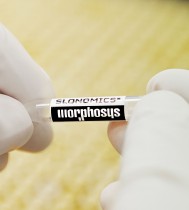 Morphosys Pharma Biotech
