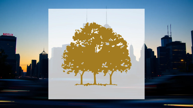 Beitragsbild zu Canopy Growth Aktie: Abstieg in die Krise