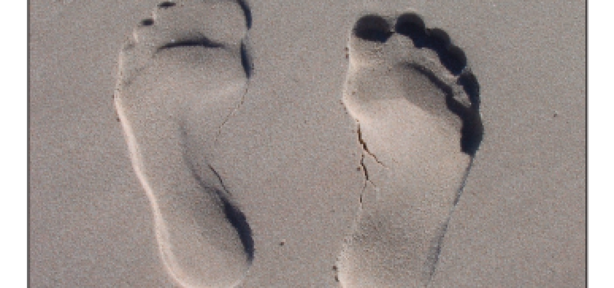 Beitragsbild zu News aus dem Börse Express PDF vom 18.07.2024: EZB hält die Füße still