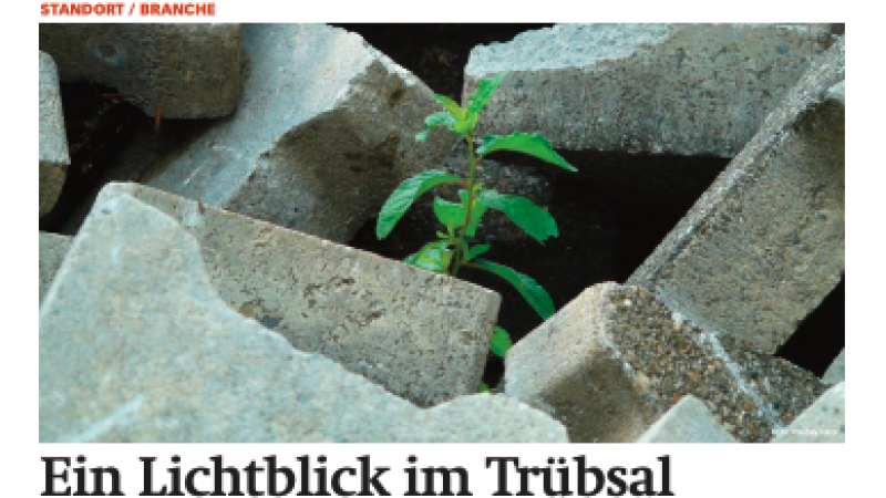 Beitragsbild zu News aus dem Börse Express PDF vom 10.03.2025 - Ein Lichtblick im Trübsal