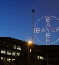 Bayer Cross 4 v3